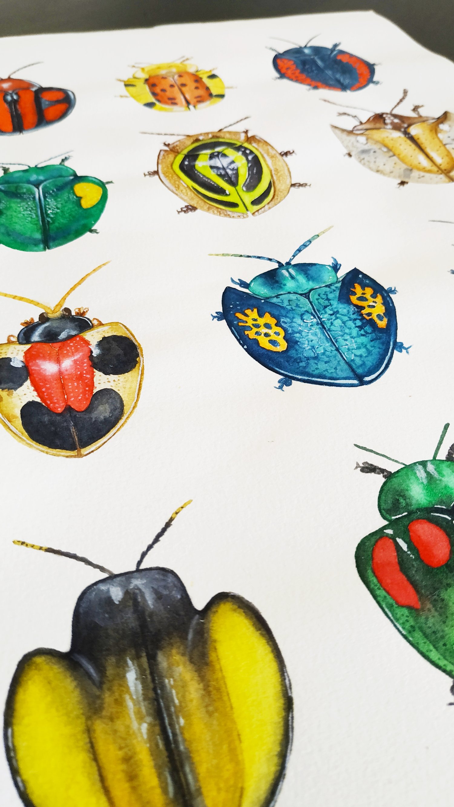 Image of Cassidinae Beetles Watercolor Illustration PRINT 