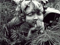 Sterbegeld-Versicherung