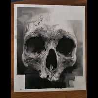 Skull  4 original oil painting