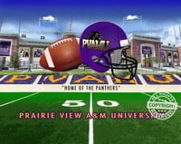 PRAIRIE VIEW A & M UNIVERSITY