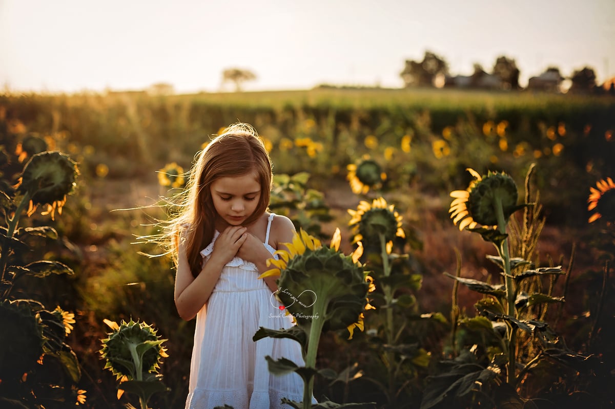 Sunflower Mini Sessions at P Bar Farms in Hydro, OK