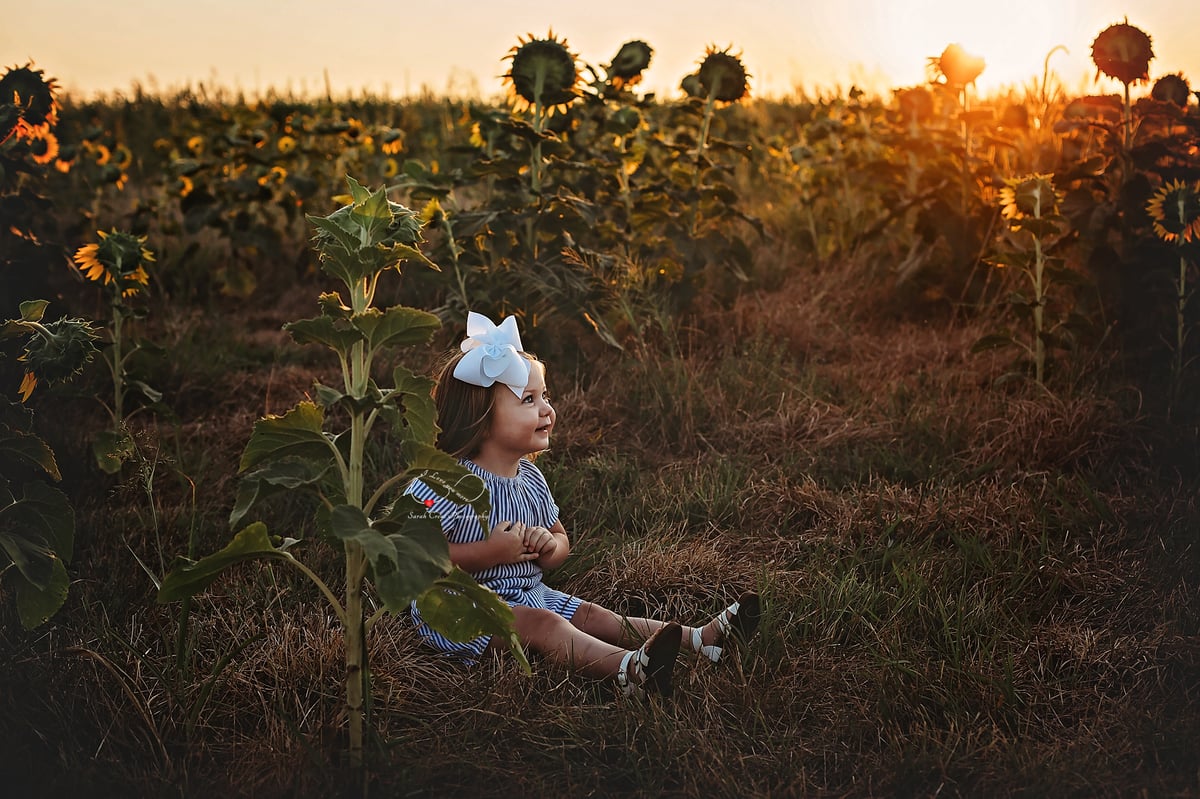 Sunflower Mini Sessions at P Bar Farms in Hydro, OK