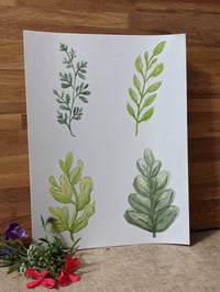 Four Leaf