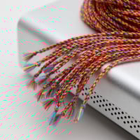 Image 5 of World of Color *John Higby* Signature Colorway