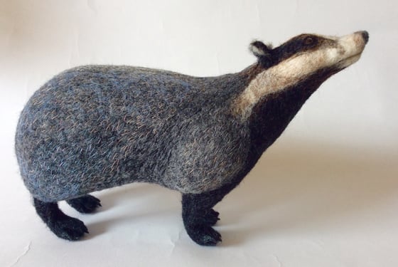 Image of Curious Badger