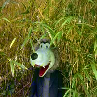 Photographs Volume 6 (Digital Edition)