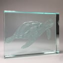 Turtle glass block