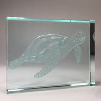 Image 3 of Turtle Glass Block