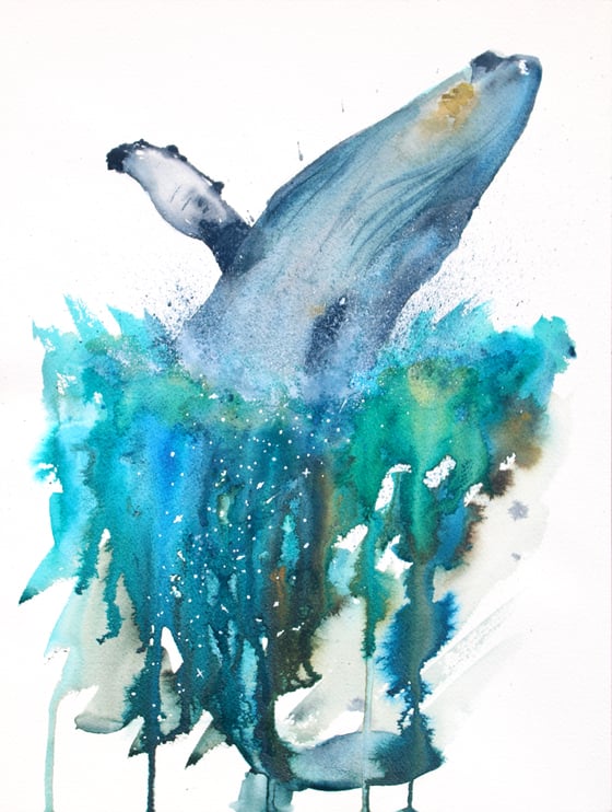 Image of Humpback Whale