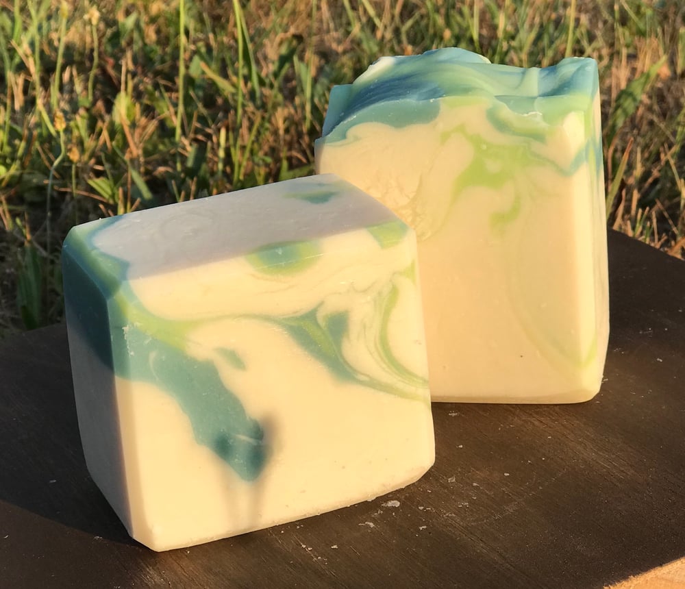 Image of Eucalyptus Soap 