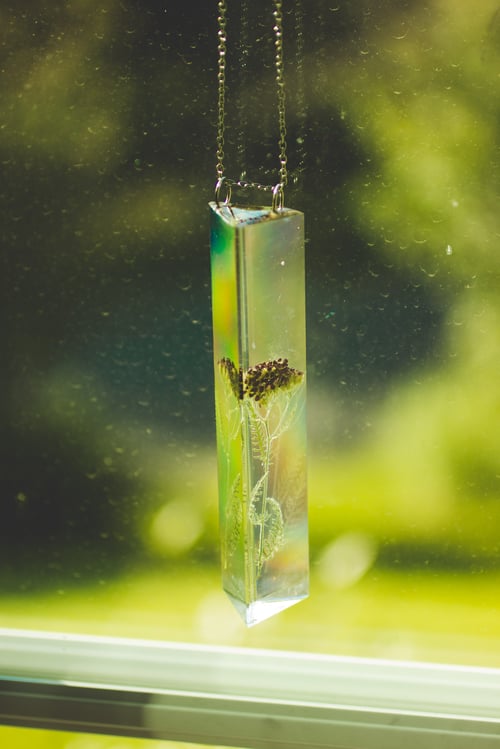 Image of Red Yarrow (Achillea millefolium) - Suncatcher Prism