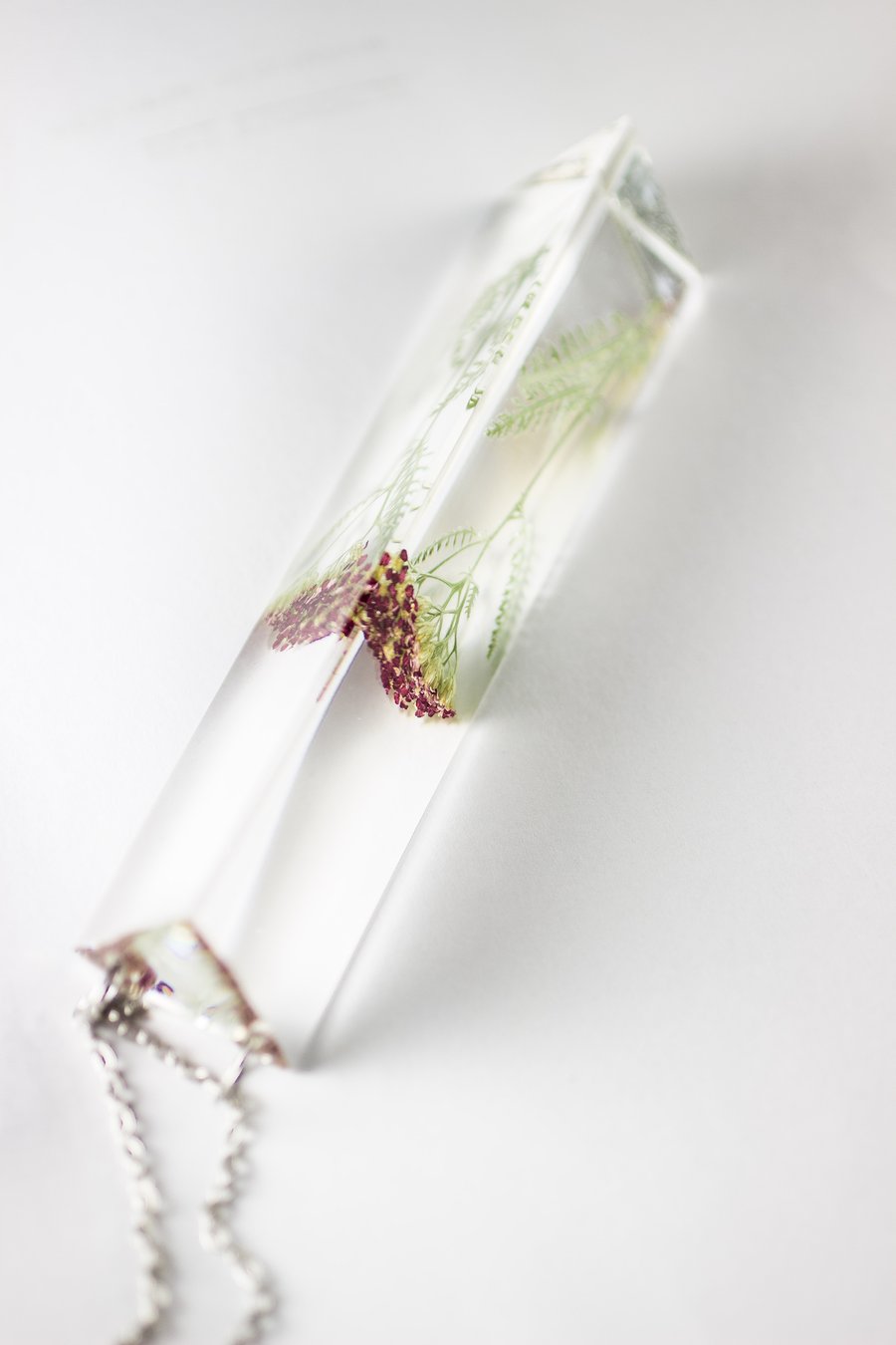 Image of Red Yarrow (Achillea millefolium) - Suncatcher Prism
