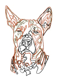 Kangtong Portrait, Soi Dog 