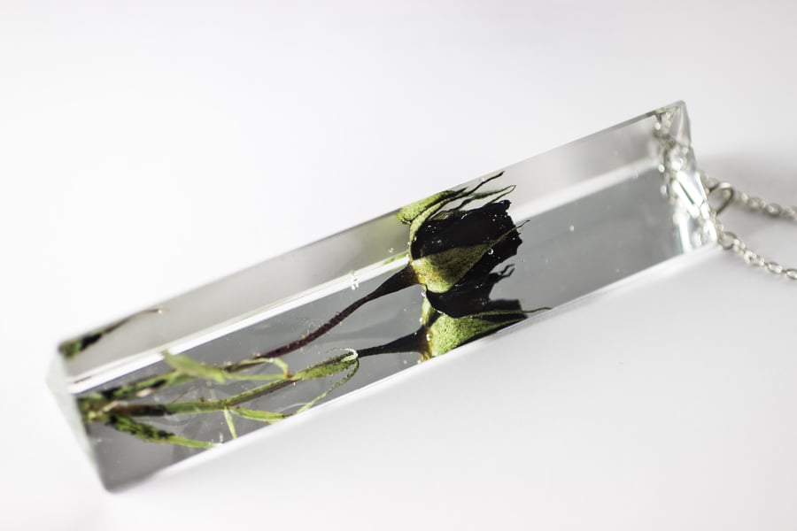 Image of Black Rose (Rosa) - Suncatcher Prism