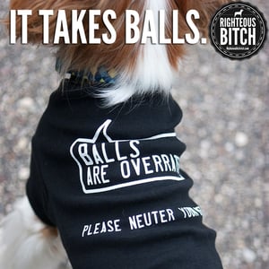 Image of It Takes Balls Tee