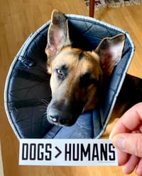 Image 2 of DOGS>HUMANS Screenprinted Vinyl Sticker • FREE SHIPPING!