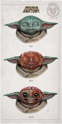 Image 1 of "THE CHILD"  head anatomy (limited ed. of 50 Giclèe wide print on fine art canvas)