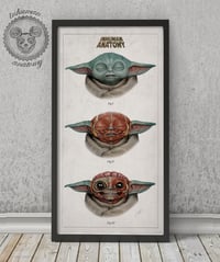 Image 2 of "THE CHILD"  head anatomy (limited ed. of 50 Giclèe wide print on fine art canvas)