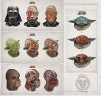 Image 3 of "THE CHILD"  head anatomy (limited ed. of 50 Giclèe wide print on fine art canvas)