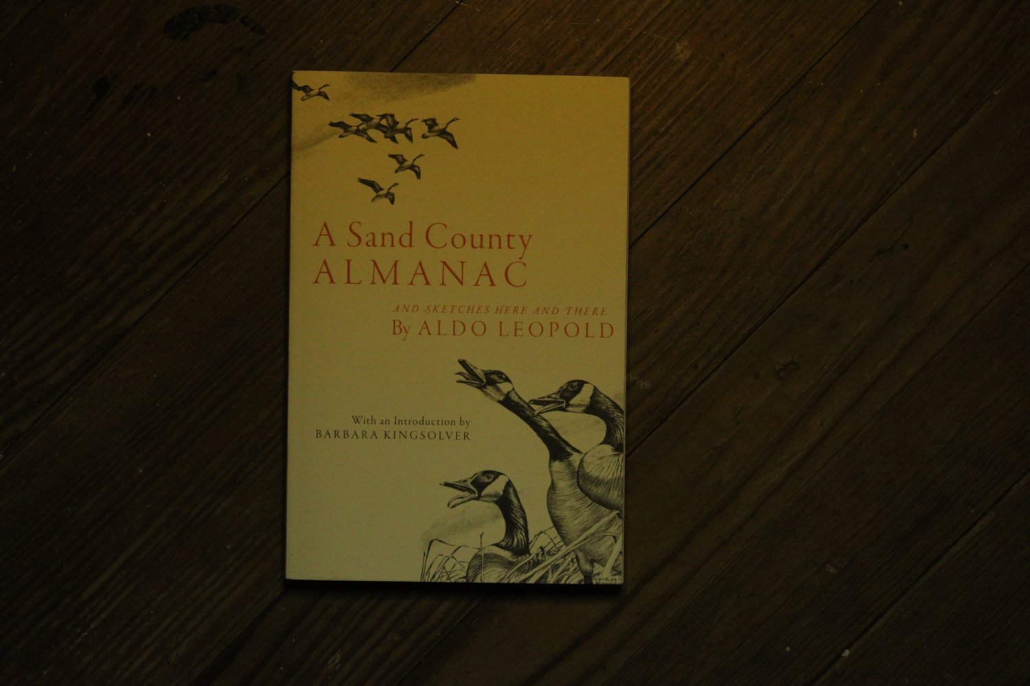 A Sand County Almanac