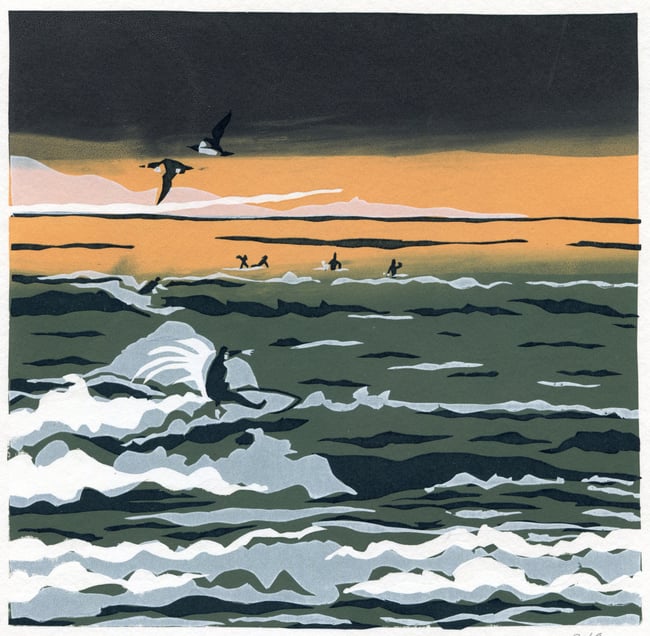 Wave Project - Guillemot surf