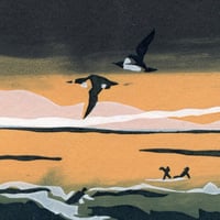 Image 4 of Wave Project - Guillemot surf