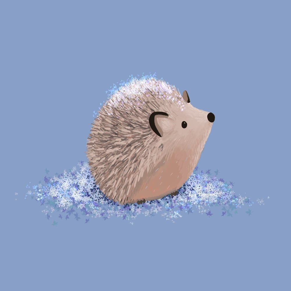 Image of Snow Hedgehog Print