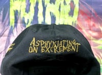 Image 3 of Cerebral Incubation Snapback