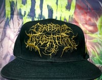 Image 1 of Cerebral Incubation Snapback