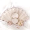 English Pattern HOPE LE PETIT PAON