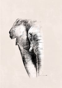 Elefant