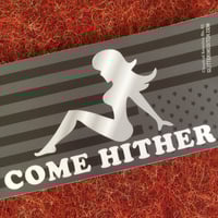 Image 4 of Mud Flap Passions Bumper Sticker