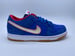 Image of NIKE DUNK LOW PREMIUM SB "KOSTON"