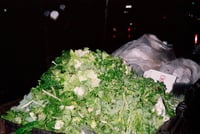 Image 3 of Pile of Lettuce