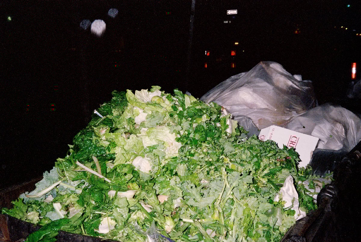 Image of Pile of Lettuce