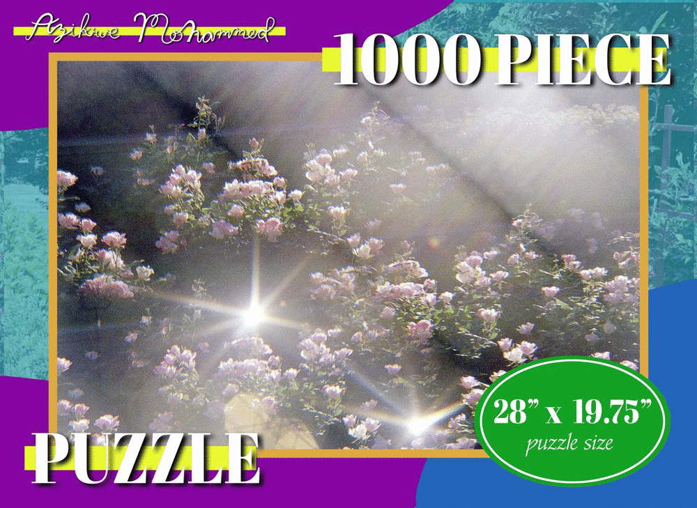 Image of Field of Flowers