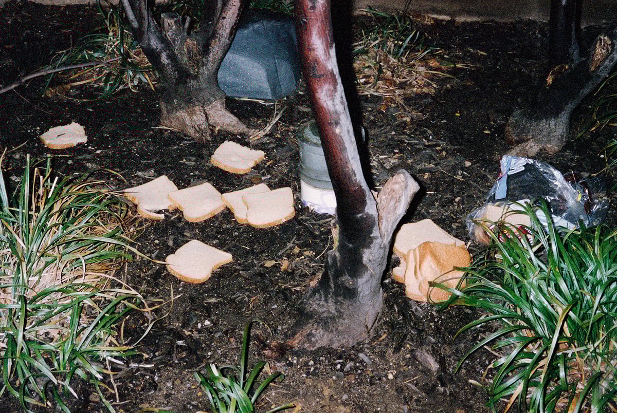 Image of Floor Bread
