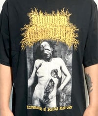 Image 2 of  Inhuman Dissiliency