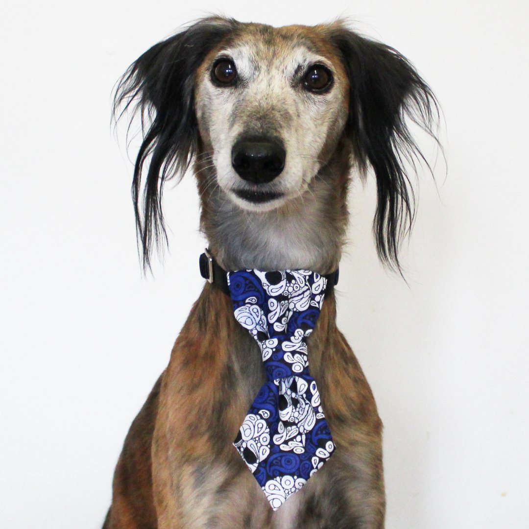 Image of Dog & cat tie