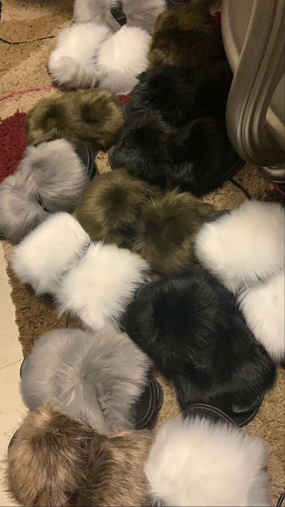 Image of Fur slides 