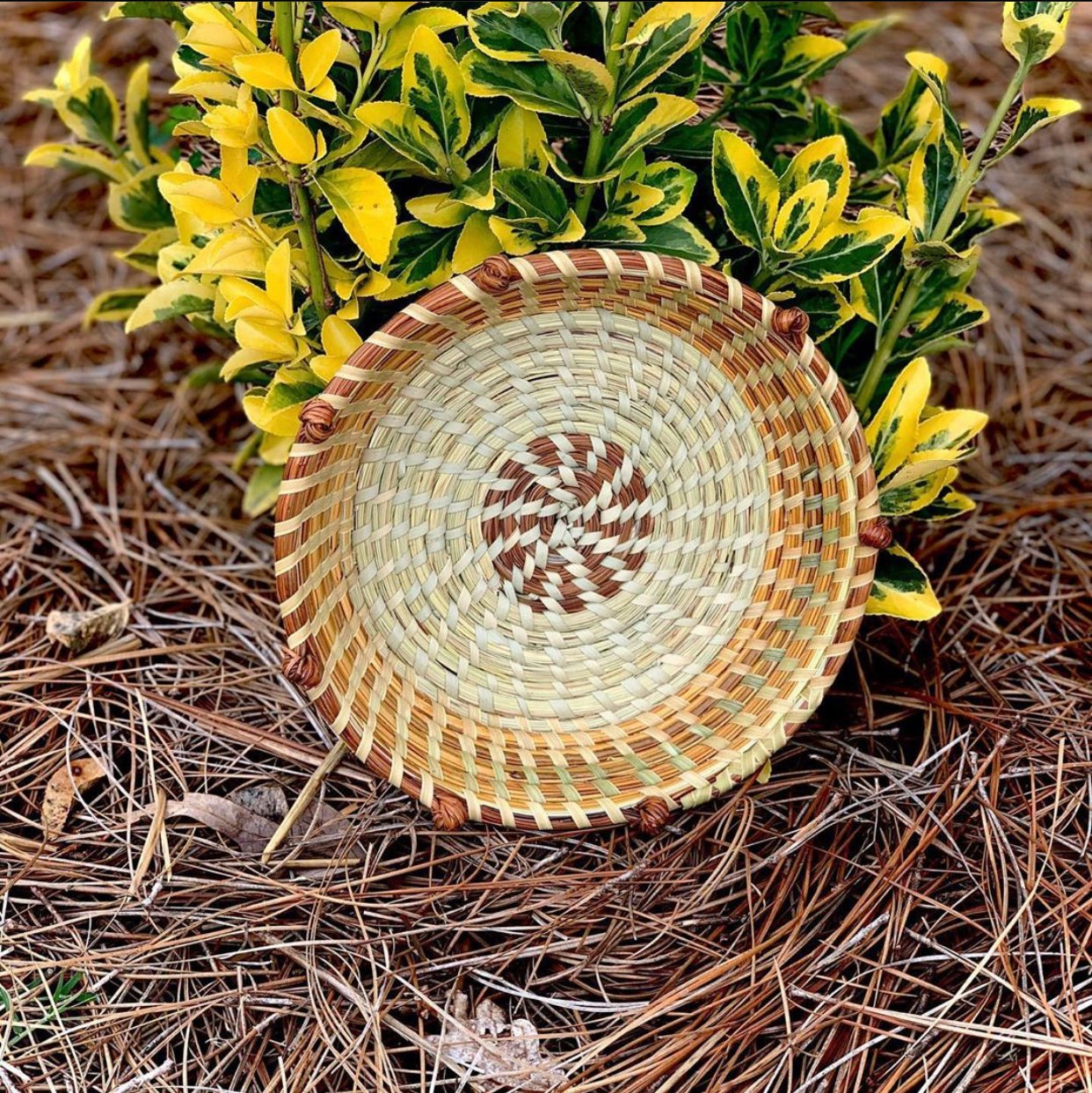 Home & Living Sweetwater Coil Gullah LowCountry Sweetgrass Bread
