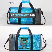 Image 2 of “Spendanite” bags 😻