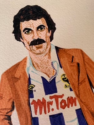Image of Mr Tom