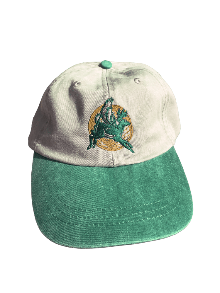 Image of EXPRESS 6-PANEL CAP