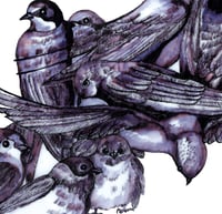 Image 2 of Rorschach watching over 