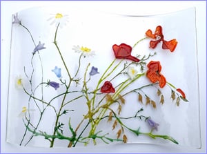 Rippling meadows and poppies