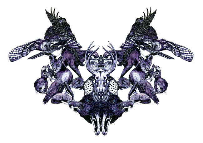 Rorschach life and death