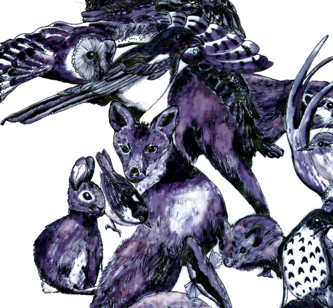 Rorschach life and death