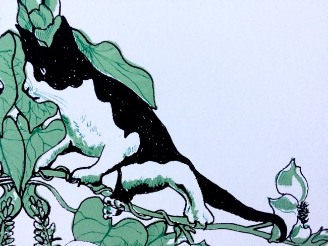 Rorschach - Nature Nurture