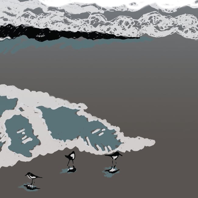 Wave Project Watching Waves